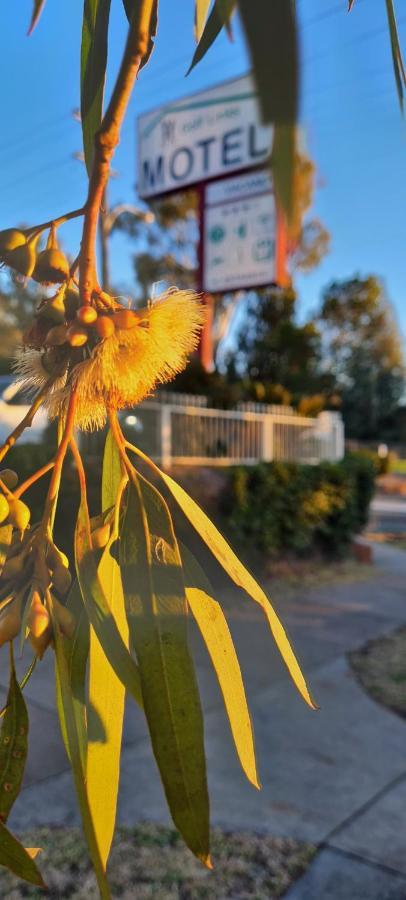 Golf Links Motel Tamworth Esterno foto